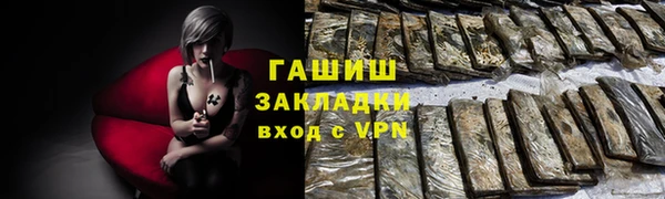 мдпв Бородино