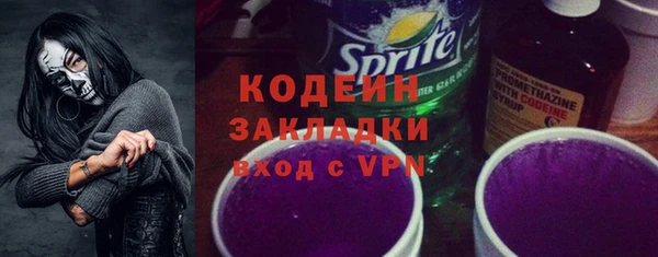 мдпв Бородино