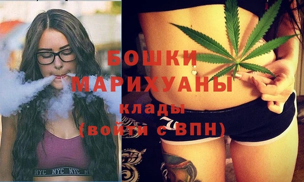мдпв Бородино