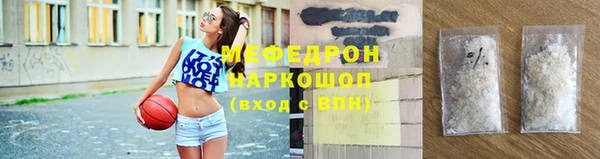 мдпв Бородино