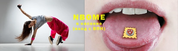 мдпв Бородино