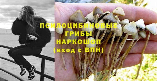 мдпв Бородино