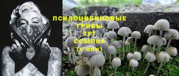 мдпв Бородино