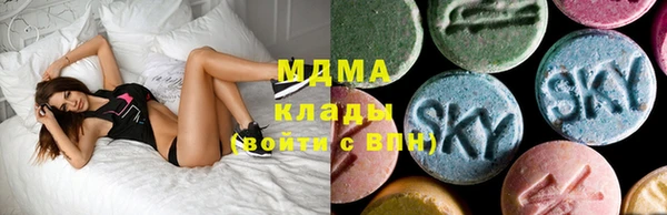 мдпв Бородино
