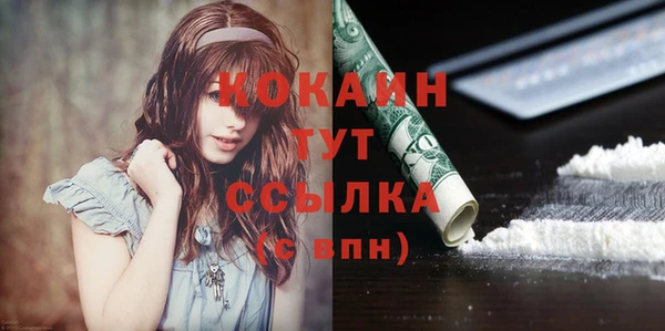 мдпв Бородино