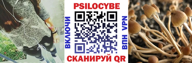 Псилоцибиновые грибы MAGIC MUSHROOMS  Горячеводский 